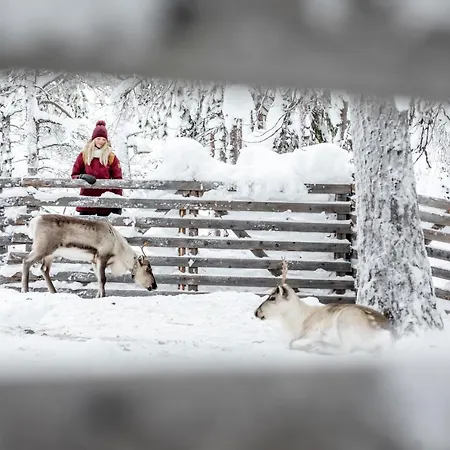 Ski-inn Pyhaelinna 4*