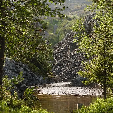 Lägenhetshotell Ski-inn Pyhaelinna