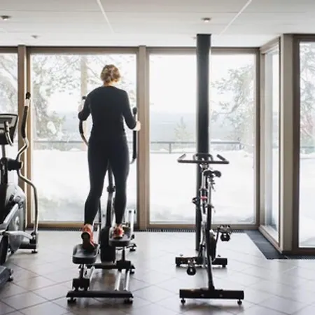 Ski-inn Pyhaelinna Lägenhetshotell 4*